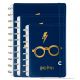 Caderno Inteligente Harry Potter Azul (CI) 1