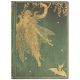Caderno Paperblanks Midi Pautado - Olive Fairy (Paperblanks) 1