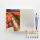 Kit de Pintura Numerada Terapêutica 40x50cm - Campo de Tulipas (Sinoart) 1