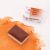 Aquarela White Nights Pastilha (Nevskaya Palitra) Cor:Red Ochre (309) 1