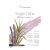 Bloco Aquarela Sugar Cane 290g Textura Fina 12Fls A5 (Hahnemuhle) 1