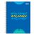 Caderno Colegial 10 Matérias 4Fun Espiral Capa Dura 160fls (Tilibra) Capa:2023-Who Cares? 1