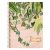 Caderno Universitário 10 Matérias Naturalis Espiral Capa Dura 160fls (Tilibra) Capa:2024-Plantas Fundo Rosa 1