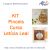 Kit Pinceis para Curso Bauer Leticia Leal 1