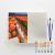Kit de Pintura Numerada Terapêutica 40x50cm - Campo de Tulipas (Sinoart) 1