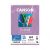 Papel Iris Vivaldi A4 185g 25 folhas (Canson) Cor:Lilás 1