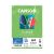Papel Iris Vivaldi A4 185g 25 folhas (Canson) Cor:Maça Verde 1