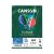 Papel Iris Vivaldi A4 185g 25 folhas (Canson) Cor:Verde Amazonas 1