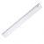 Regua Plastica Newline (Waleu) Tamanho:30cm 1