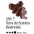 Tinta Óleo Oil Colors Classic 20ml (Acrilex) Cor:Terra de Sombra Queimada (358) 1