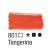 Tinta Tecido Fosco 37ml (Acrilex) Cor:Tangerina 1