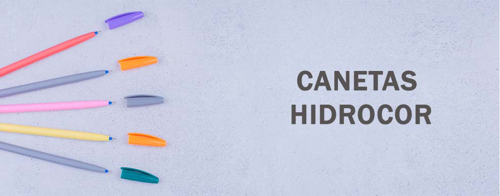 Caneta Hidrocor